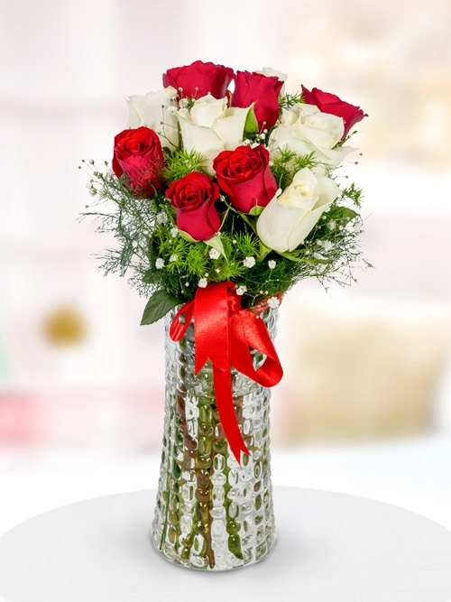 Kırmızı ve Beyaz LF-124