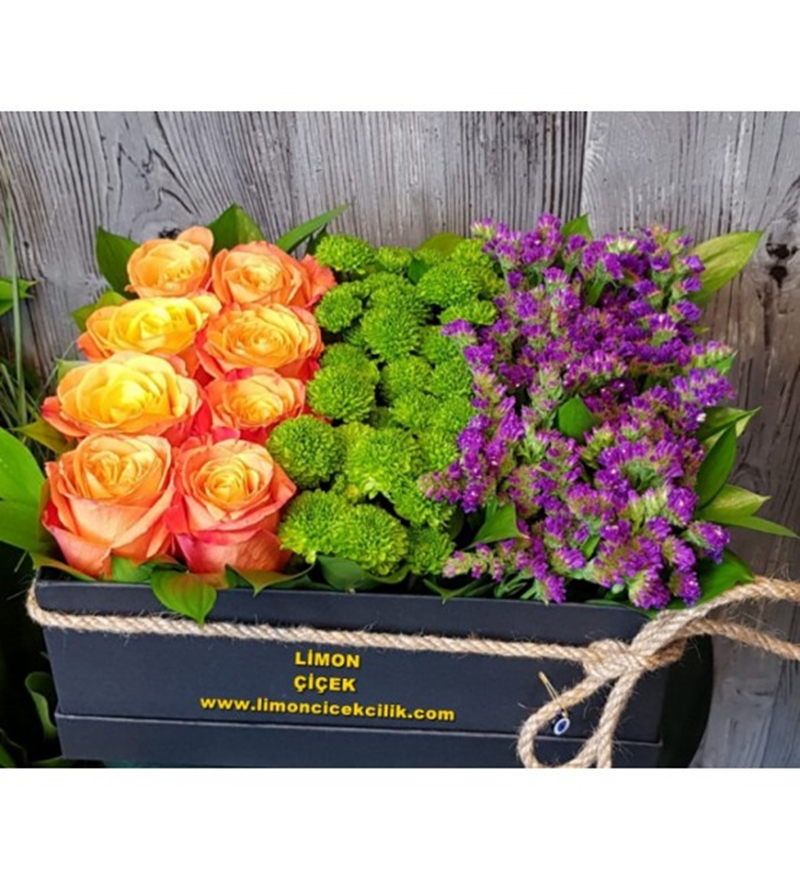 Kutuda Mix Arajman LF-195