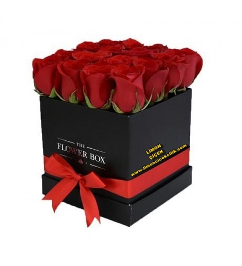 Kutuda Güller LF-196